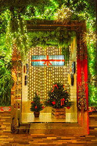 Номадс - Шинэ жилийн захиалга авч байна